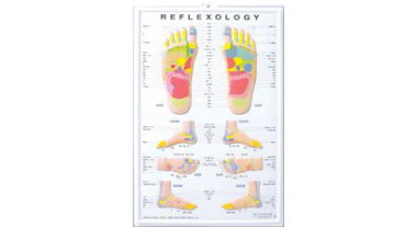 3D足のリフレクソロジーチャート(ポスターサイズ)